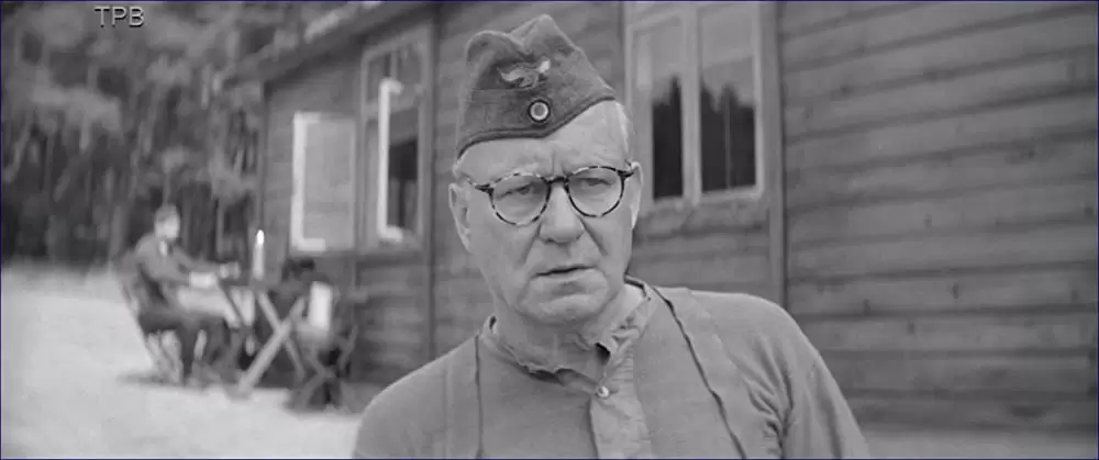 異端の鳥の画像