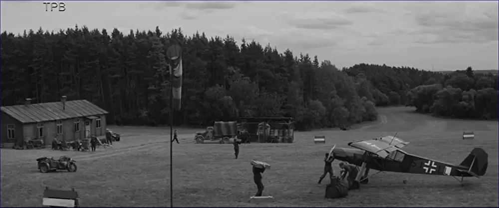 異端の鳥の画像