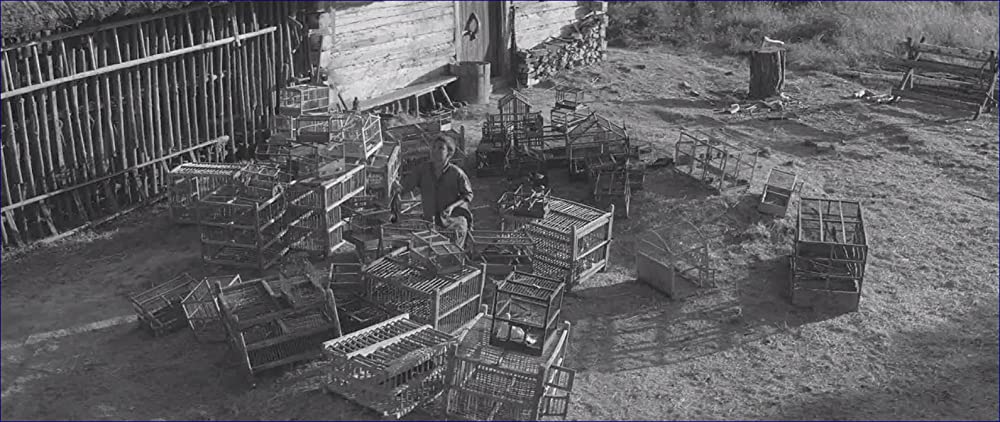 異端の鳥の画像