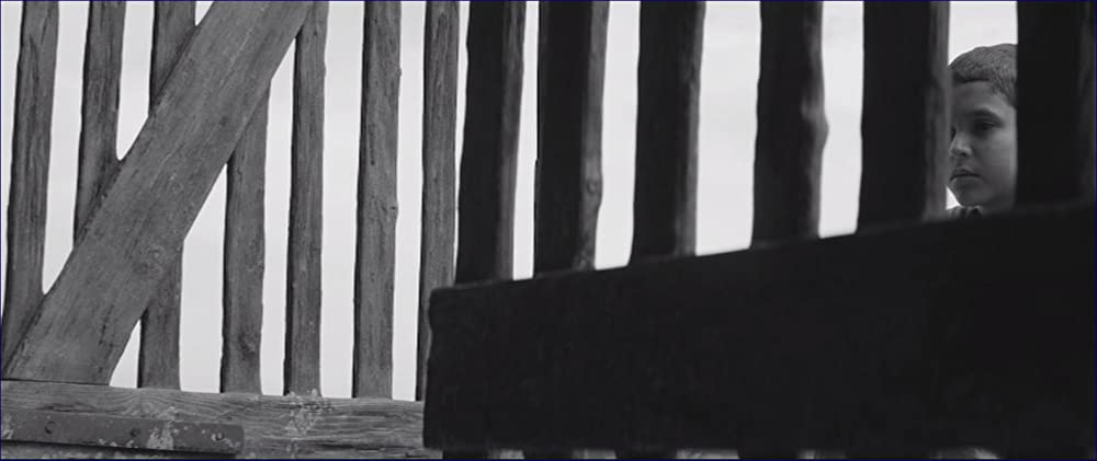 異端の鳥の画像