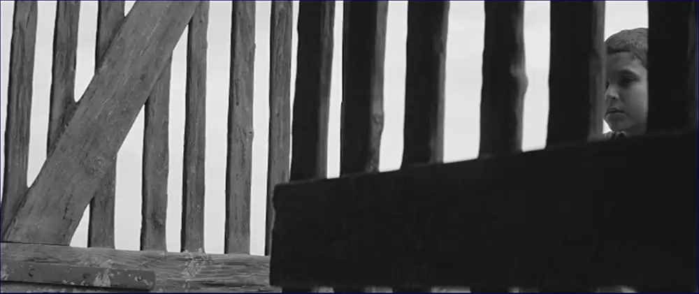 異端の鳥の画像