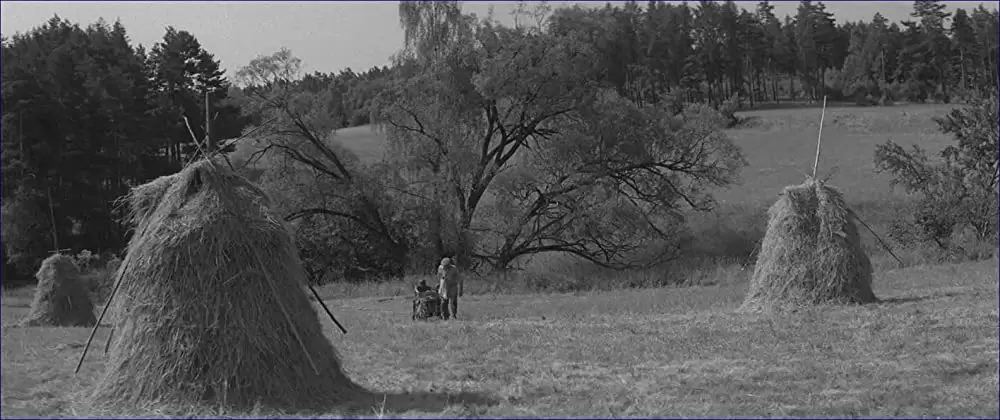 異端の鳥の画像