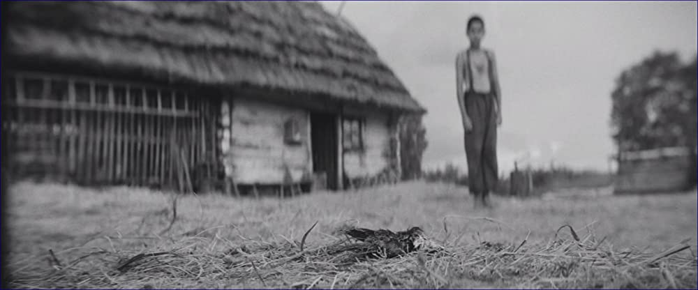 異端の鳥の画像