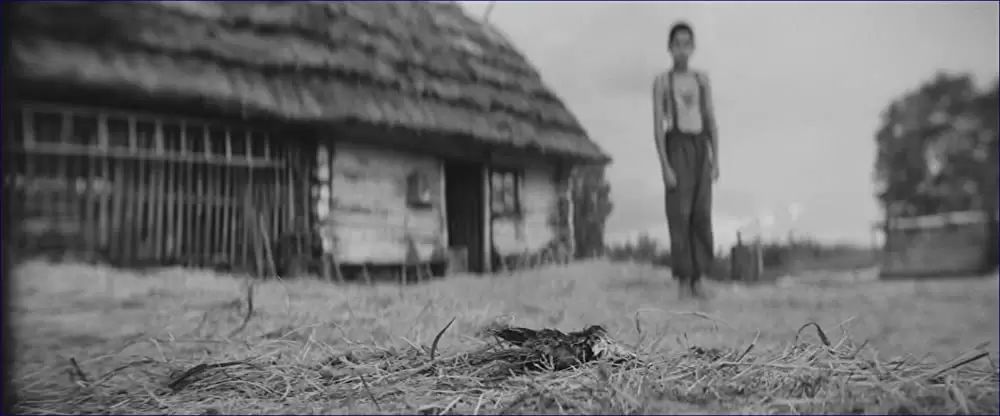 異端の鳥の画像