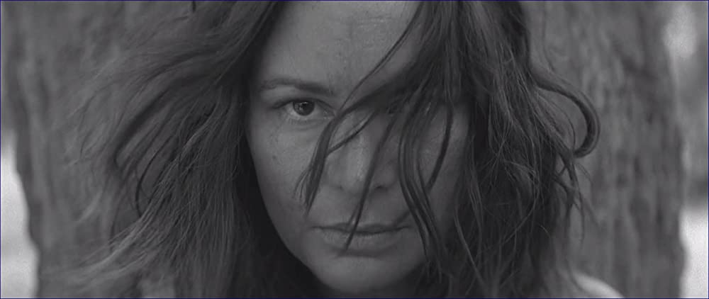 異端の鳥の画像