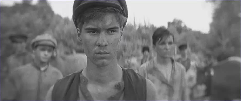 異端の鳥の画像