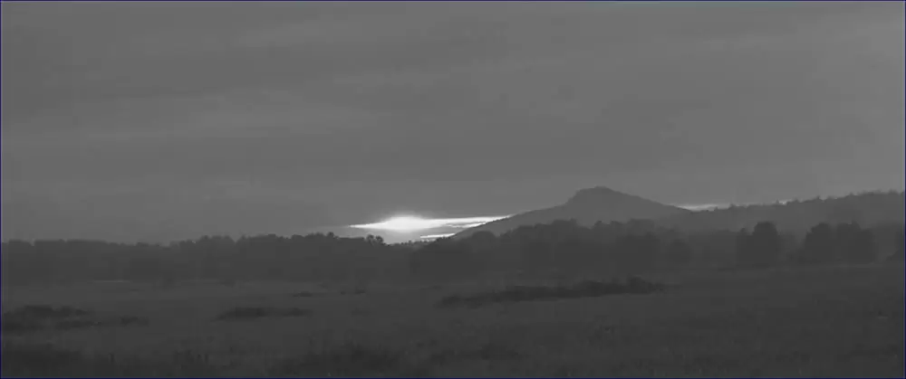 異端の鳥の画像