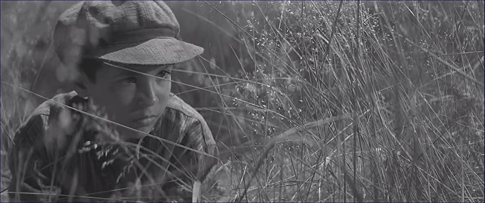 異端の鳥の画像