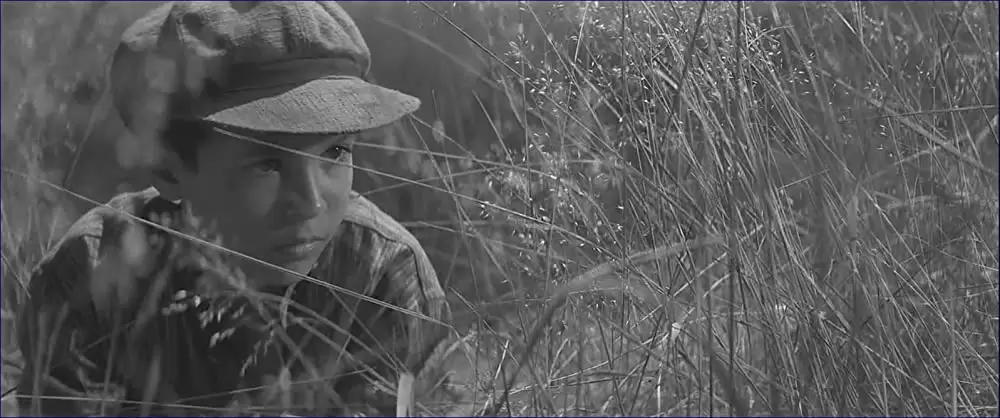 異端の鳥の画像