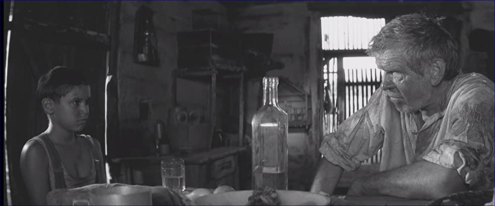 異端の鳥の画像