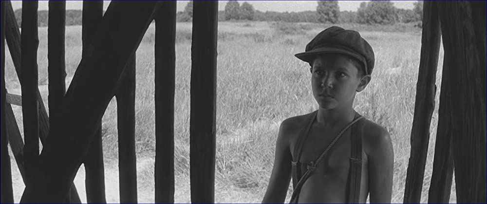 異端の鳥の画像