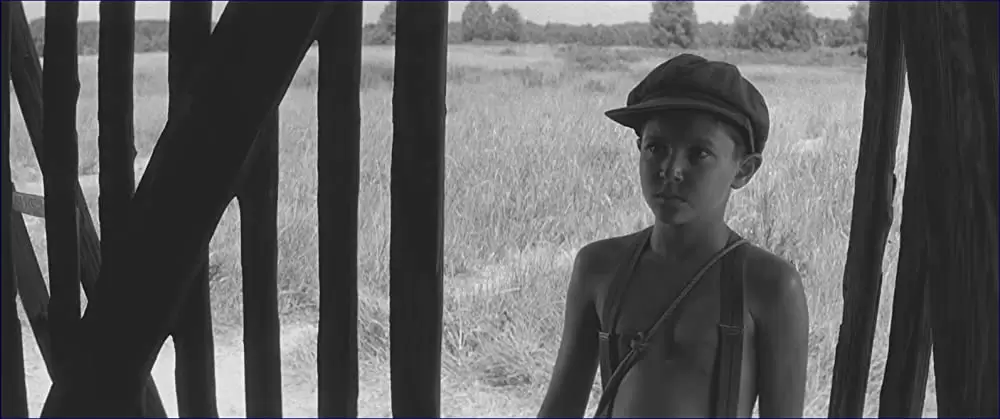 異端の鳥の画像