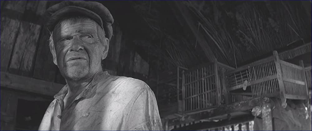 異端の鳥の画像