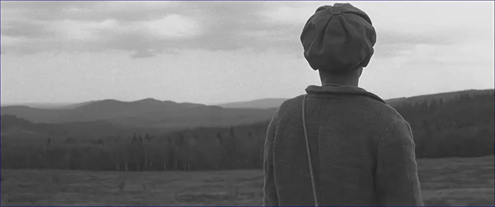 異端の鳥の画像