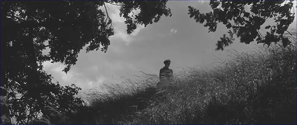 異端の鳥の画像