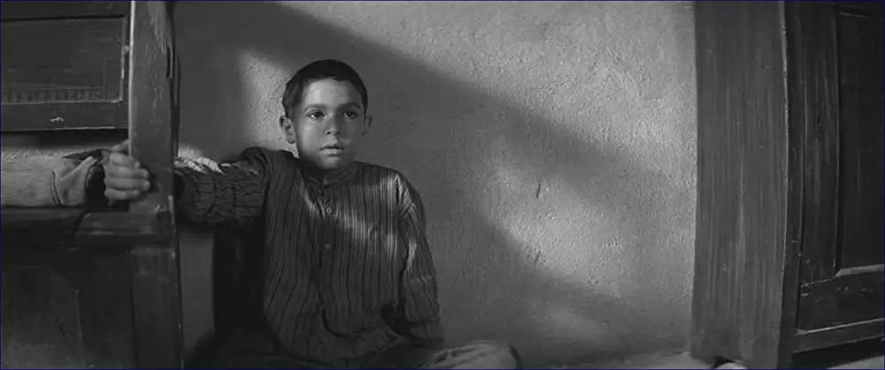 異端の鳥の画像