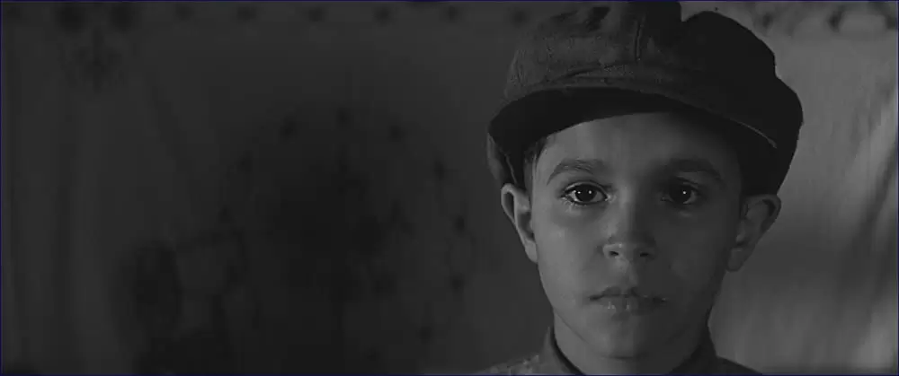 異端の鳥の画像