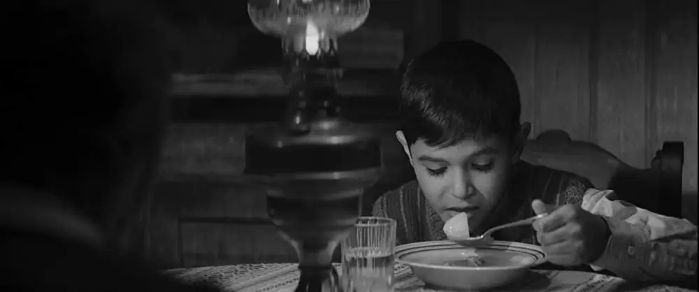 異端の鳥の画像