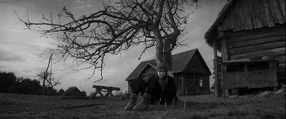 異端の鳥の画像