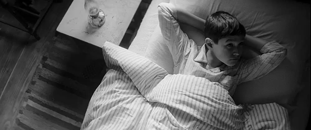 異端の鳥の画像