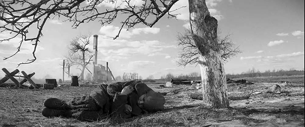 異端の鳥の画像