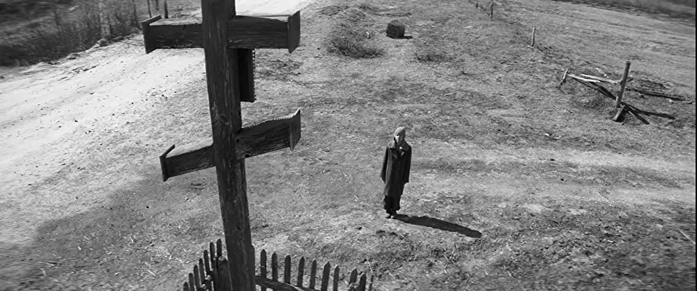 異端の鳥の画像