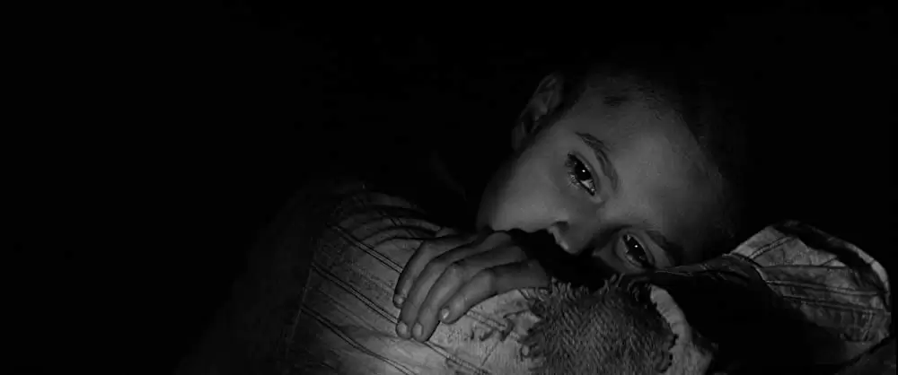 異端の鳥の画像