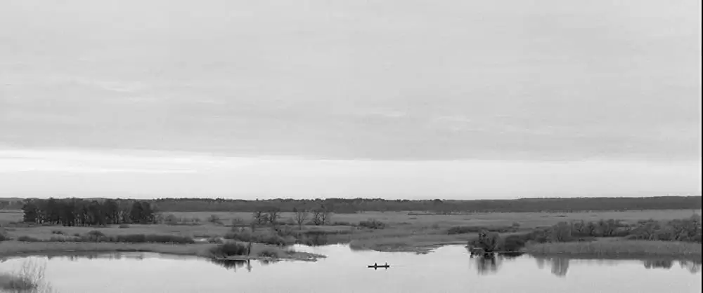 異端の鳥の画像