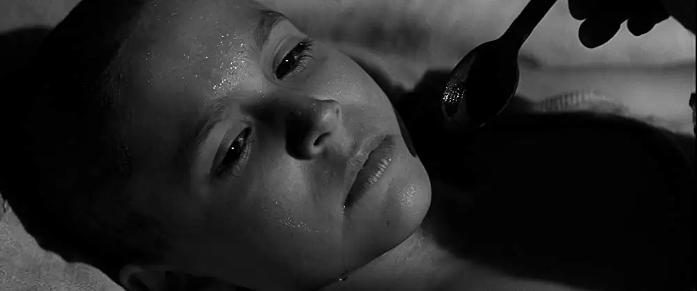 異端の鳥の画像