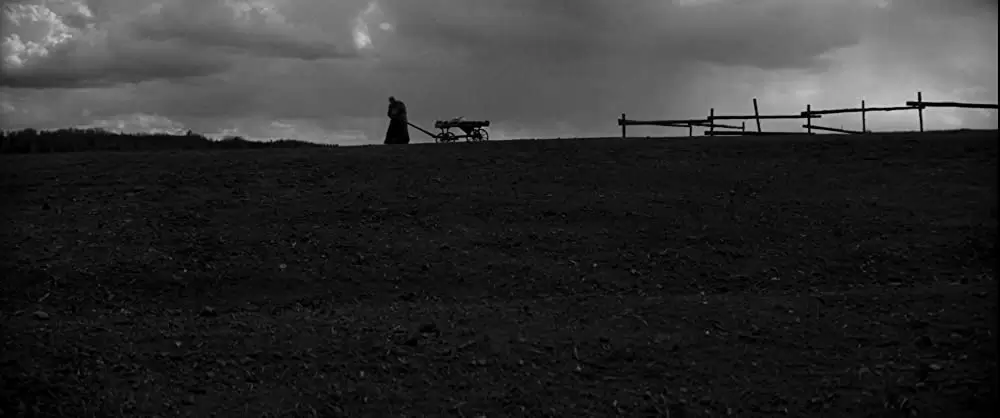 異端の鳥の画像