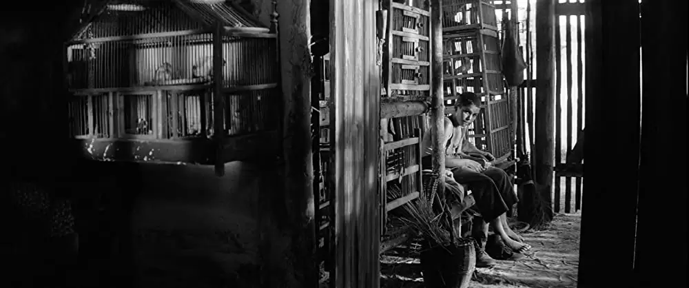 異端の鳥の画像