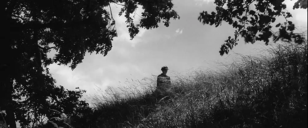 異端の鳥の画像