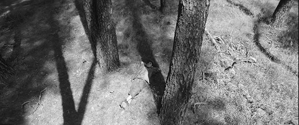 異端の鳥の画像