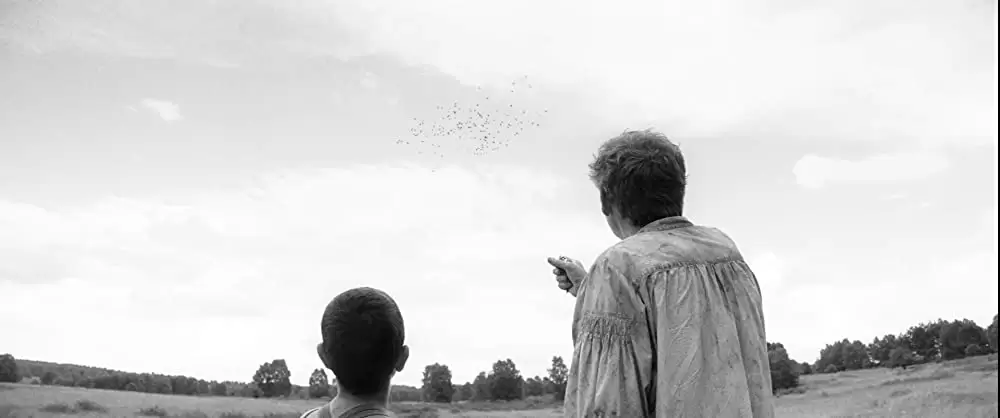 異端の鳥の画像