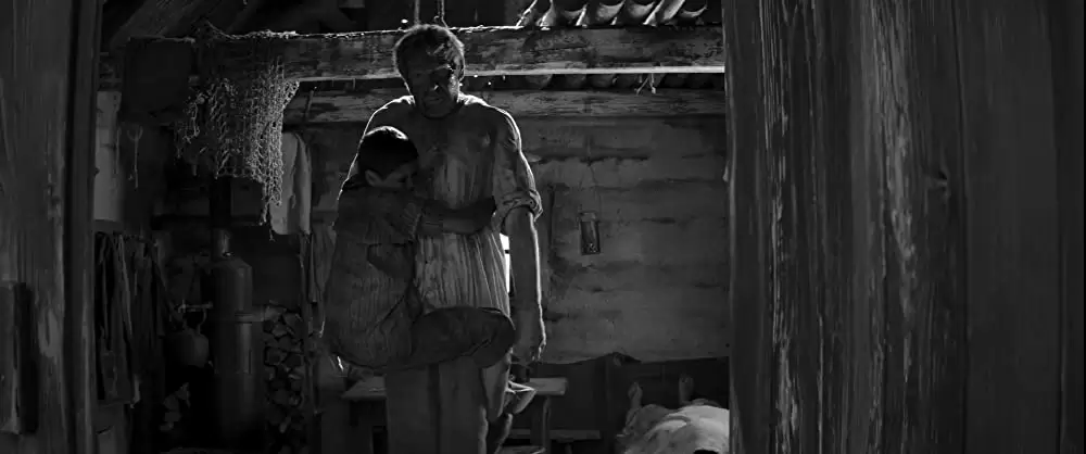 異端の鳥の画像