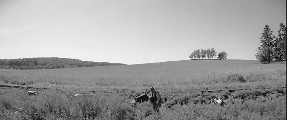 異端の鳥の画像