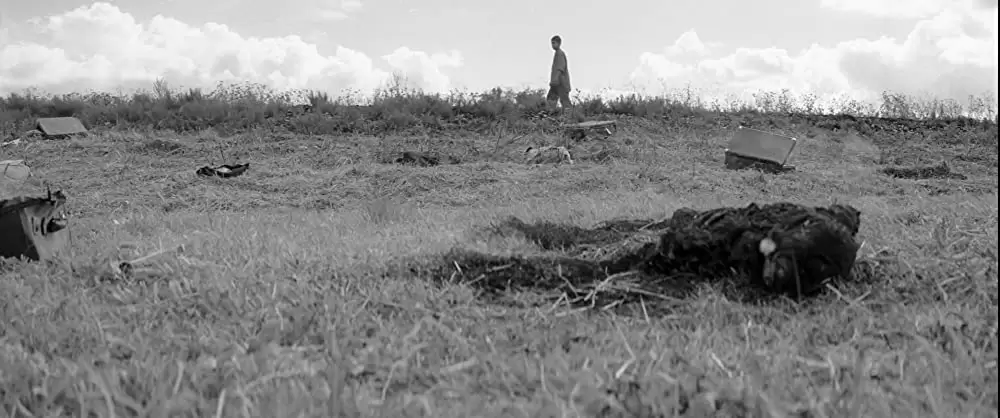 異端の鳥の画像