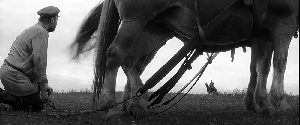 異端の鳥の画像