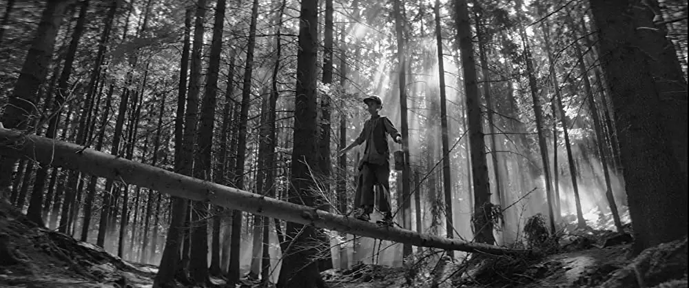 異端の鳥の画像