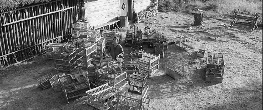 異端の鳥の画像