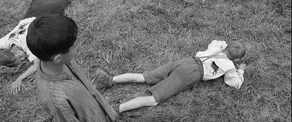 異端の鳥の画像