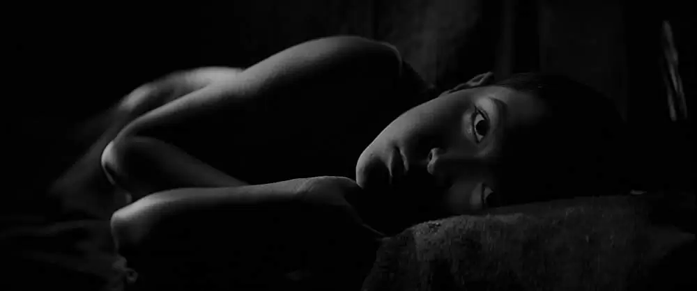 異端の鳥の画像