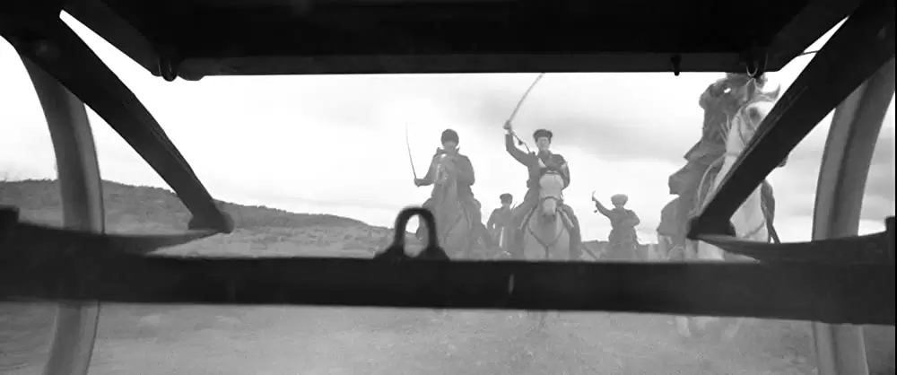 異端の鳥の画像