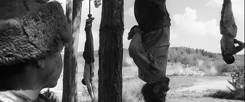 異端の鳥の画像