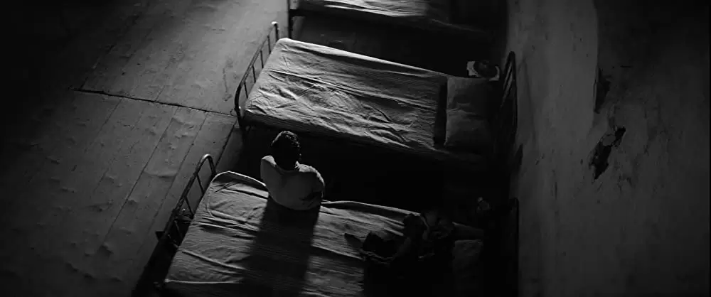 異端の鳥の画像