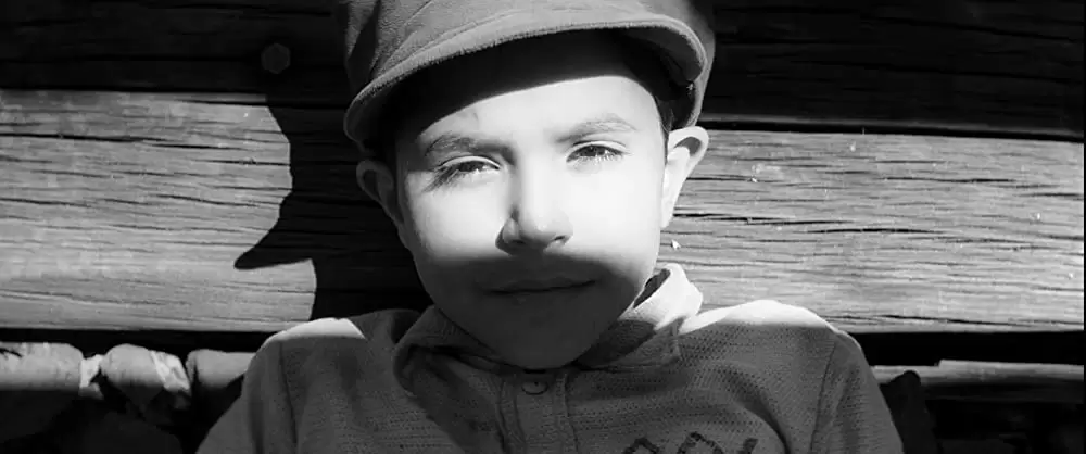 異端の鳥の画像