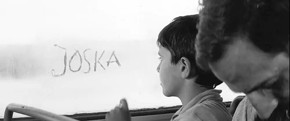 異端の鳥の画像