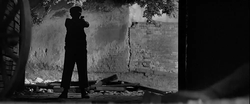 異端の鳥の画像