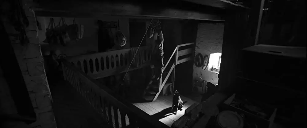 異端の鳥の画像