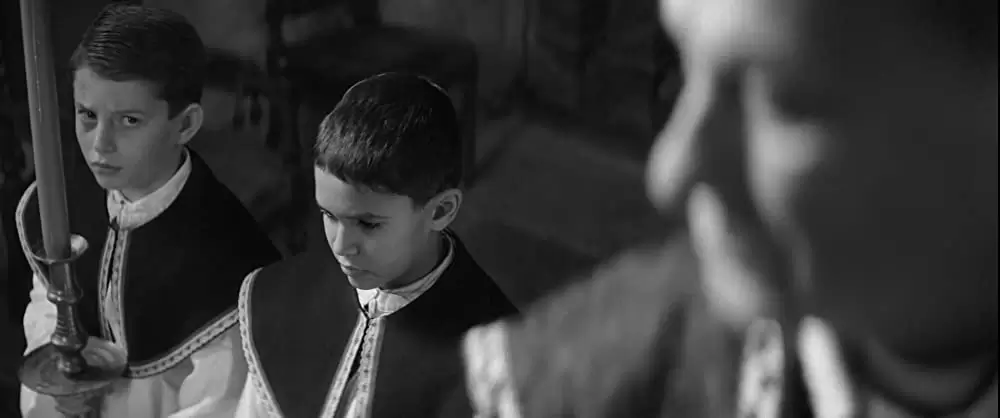 異端の鳥の画像